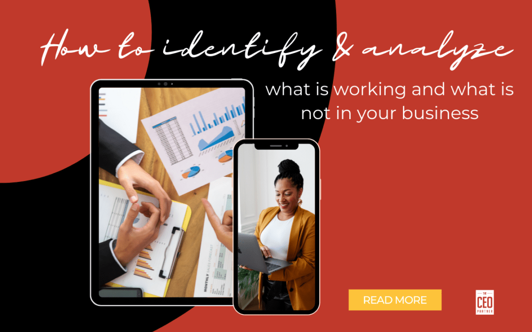 How to identify & analyze what is working and what is not in your business